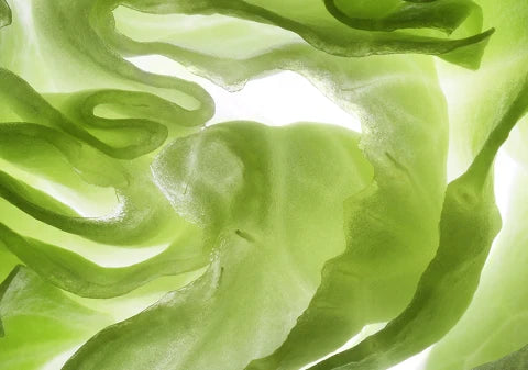 Vitamina A biodisponible